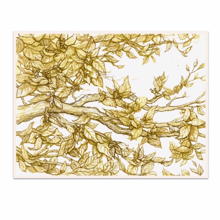 'Autumn Fairies' - Limited Edition Print