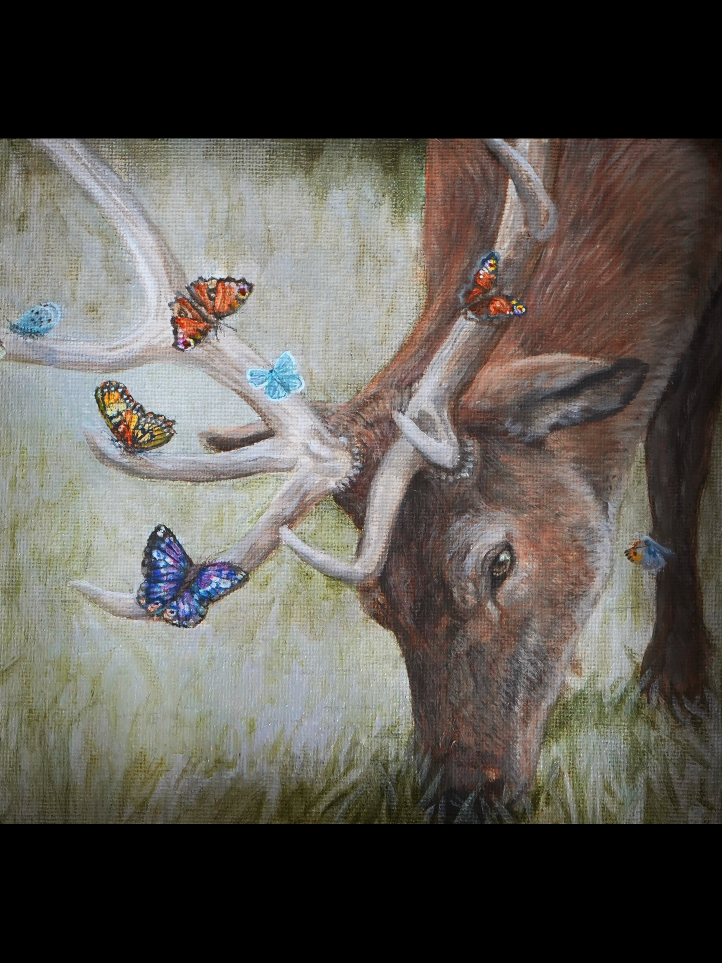 ‘Hart of Spring’ - Fine Art Prints
